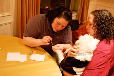 The hotel's Georgian and Venetian rooms became a temporary dog spa for the evening as technicians from Paradise 4 Paws provided pet manicures, dubbed 'pawdicures.'