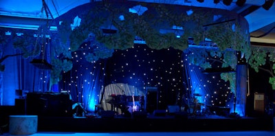 Oversize leaves were suspended above the stage while a black backdrop glowed with twinkle lights reminiscent of the nighttime sky.