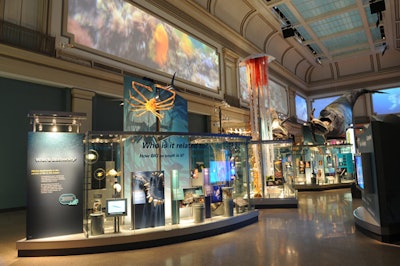 Sant Ocean Hall represents the National Museum of Natural History's largest renovation since opening in 1910.