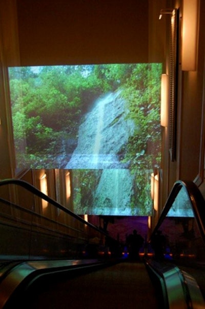 A projection of a giant waterfall was a focal point at the Hawaii State Society ball.