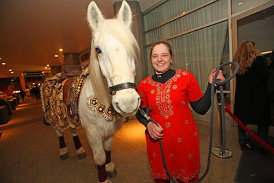 Rocky the white horse donned an Indian ensemble for the occasion, and helped greet guests at the door.
