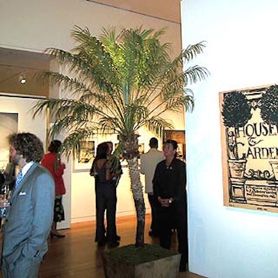 Palm trees added an unexpected touch to the exhibit.