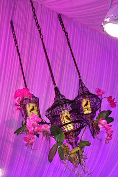 Orchids decked birdcages in Lexus's lounge.