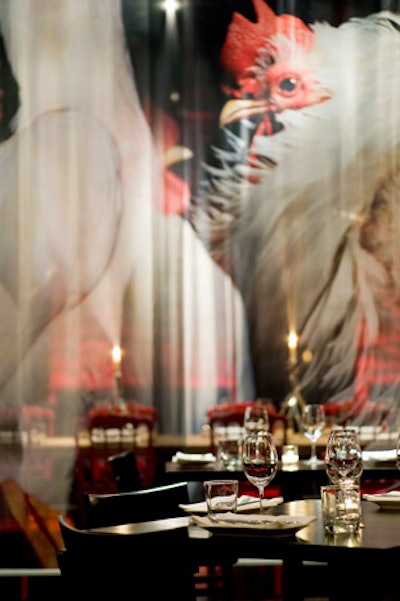 Stephen Green-Armytage's photos of birds are featured prominently in Ultra's new decor.