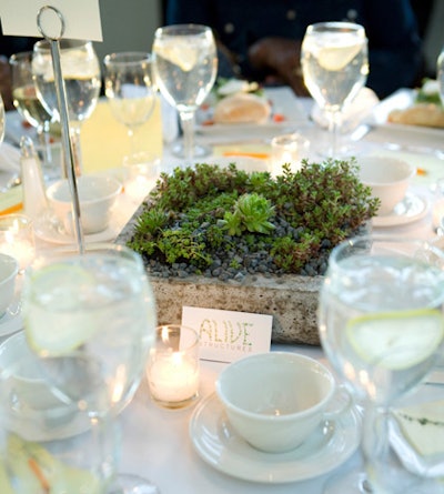 Alive Planters can double as centerpieces and takeaway gifts.