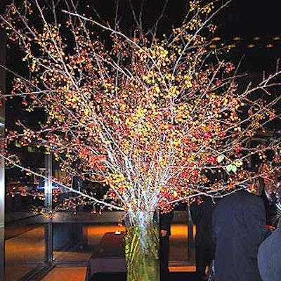 Robert Isabell provided this large display of berry branches behind the bar area.