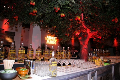 Absolut's folks assured me this mango tree would live on beyond the event, but who knows?