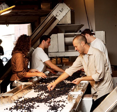 Winemaking activities at City Winery