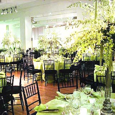 In the dining room, large cymbidium orchid centerpieces from Daily Blossom were displayed on tall pedestals.