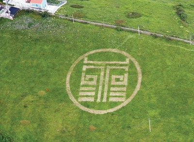Curb mowed Bacardi's logo into a field.