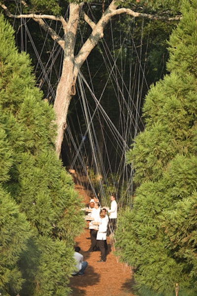 Artists weren't afraid to use the Watermill Center's natural surroundings, as Shige Moriya did for his piece, Cathedral-Within.