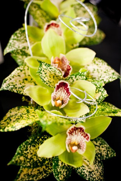 Green orchids from Percy Waters Florist topped cocktail tables and fragrance displays.
