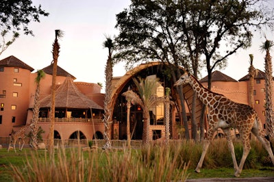 Giraffes, zebras, impalas, and gazelles wander throughout Kidani's 33-acre tropical savannah.