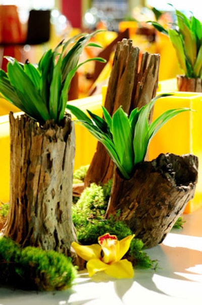 Jason Frix used natural elements like wood and grass in the centerpieces.