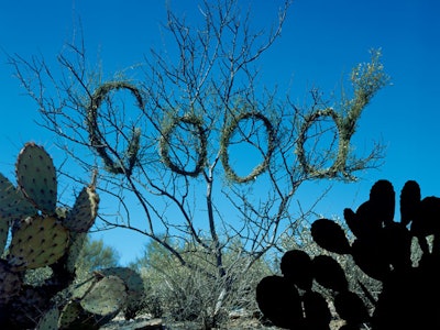 The 'Design USA' exhibit includes Stefan Sagmeister's 'Good,' part of an installation at Art Grandeur Nature, St. Denis, France, 2004.