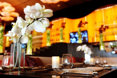 White orchids adorn the tables and bars throughout the main dining room.