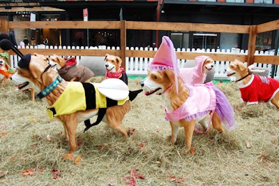 At the faux petting zoo, producers outfitted Old Navy canine mannequins in Halloween costumes.