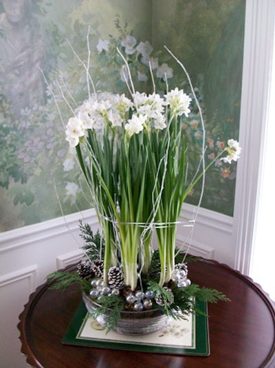 Narcissus bulbs accented with white twigs, pine cones, cedar, and glass balls by Jeri Solomon Floral Design, $65.