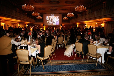 Guests and their dogs sat for a buffet dinner in the grand ballroom, where images from past benefits were projected onto a drop-down screen.