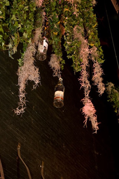 Empty bottles—provided by bar sponsor Sazerac Company—hung from long strands of ivy and Spanish moss.