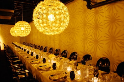 The lighting cast a floral pattern onto the surrounding walls.