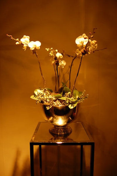 Silver vases filled with orchids sat at either end of the room.