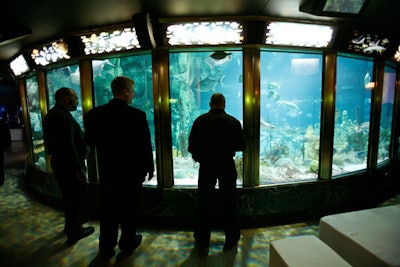 Some guests sipped their cocktails while gazing at exotic fish.