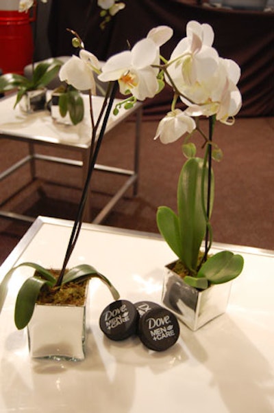 White orchids and hockey pucks bearing the Dove logo topped tables in the theatre.