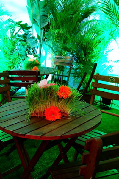 The Design Group of Miami used bright gerbera daisies in grass as centerpieces on the wood tables in the indoor garden.