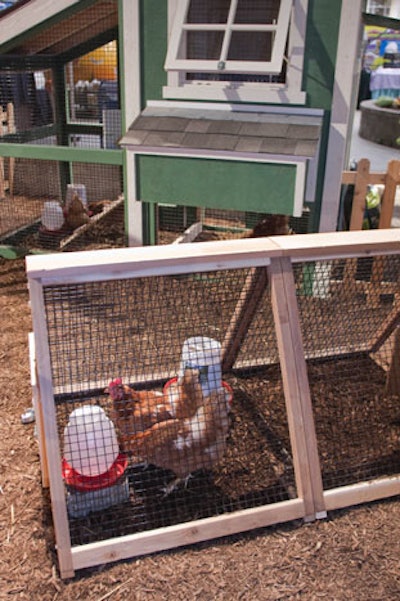 Live chickens inhabit a coop in the kids' activity garden, which also houses a swing set, slide, and sandbox.