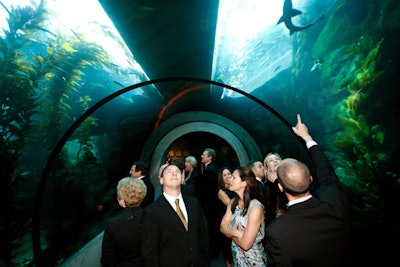 Guests had a chance to check out the new 'Ecosystems' exhibit.