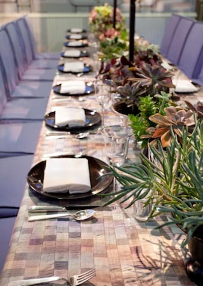 A row of succulents and other potted plants ran down the center of David Stark's table for Benjamin Moore.