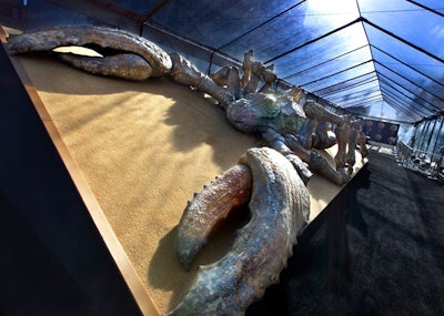A 48-foot scorpion prop from the movie added drama to the arrivals area.