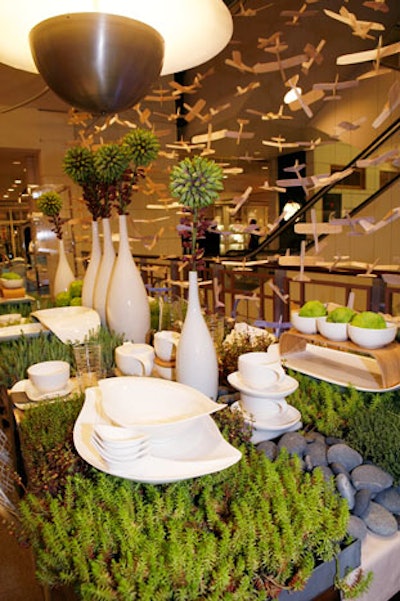 Kim Garner of Macy's visual staff used succulents, river rocks, and travertine tiles to decorate a display of Villeroy & Boch china.