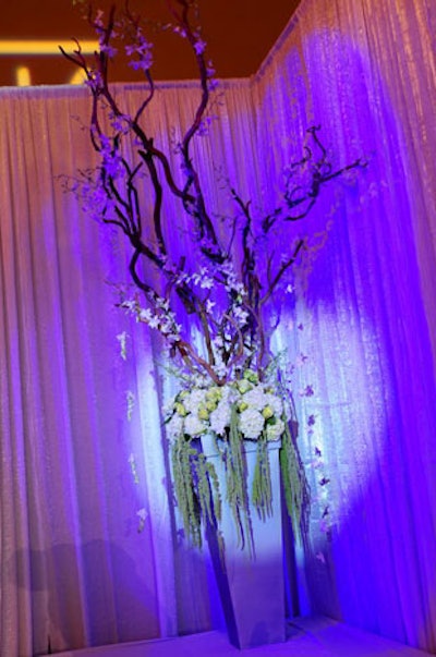 Dreams and Celebrations and Atlantic Floral Importers created two tall floral arrangements with amaranthus, hydrangea, and birch trees for either side of the runway.
