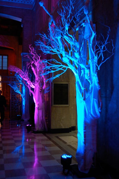 White trees lit in pink and blue lined the hallway between the two event spaces at the Dupont Building.
