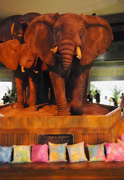Pillows by Lilly Pulitzer provided comfort for tired dancers in the Akeley Hall of African Mammals.