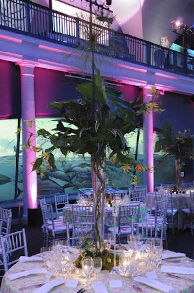 Tall conical glass vases with giant leaves and orchids created a makeshift canopy around the room.