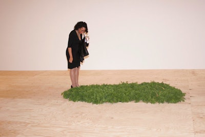 Inspired by a Vito Acconci performance piece, Rubell planted a small garden of ready-to-eat carrots in sterile soil.