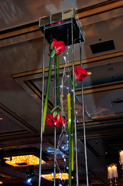 Another design used silver frames with suspended red amaryllis and fairy lights.