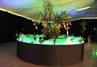 For the cocktail reception, San Remo Florist dressed a tree in the centre of the circular bar with hanging tea lights and purple and green blooms.