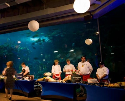 Food stations lined the pathways through the aquarium's exhibits.