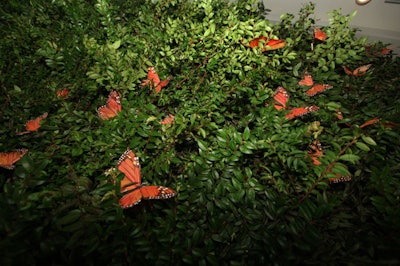 Thousands of feather butterflies filled the event space, adding to the spring ambiance.