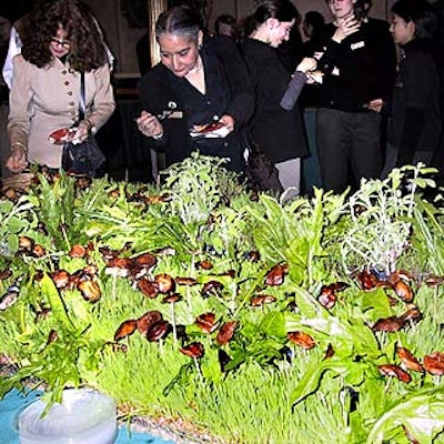 For former Parks & Recreation Commissioner Henry Stern's good-bye party at the National Museum of the American Indian, caterer Mark Fahrer created a nature-inspired buffet table made for foraging, mushroom caps on wooden skewers stuck in wheat grass.