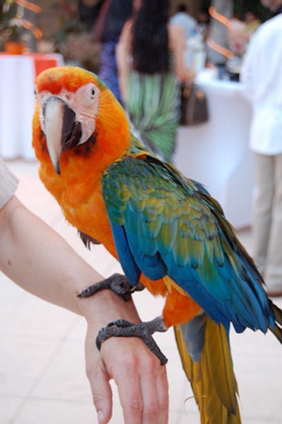 Jungle Island staffers brought various exotic animals to pose for pictures with guests.