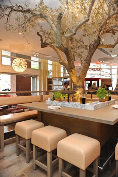 A live tree anchors the dining room.