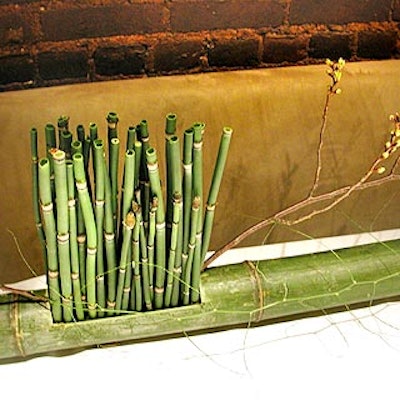 Eve Suter's decor for the table of hors d'oeuvres had giant bamboo stalks with small rectangles cut out and filled with reedy-looking plants and branches.