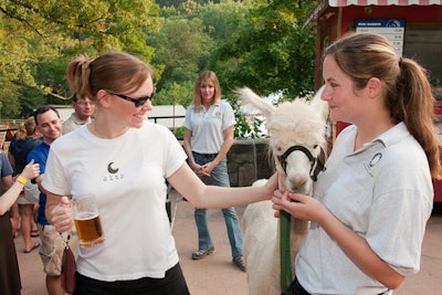 Zoo staff held special animal demonstrations for guests in the V.I.P. Brew Club area.