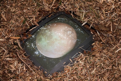 One of my favorite pieces at the Watermill Center summer benefit was a series of TVs that showed the phases of the moon. This one was buried in the ground, so it sometimes got stepped on.