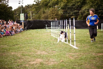Families watched as the Jumpmasters Flyball team showed off their dogs' speed and skills at an hour-long show.